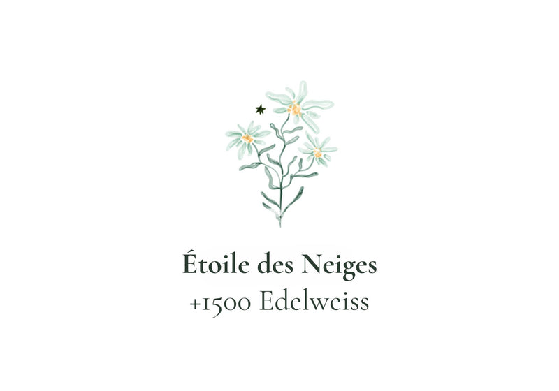 Étoile des Neiges